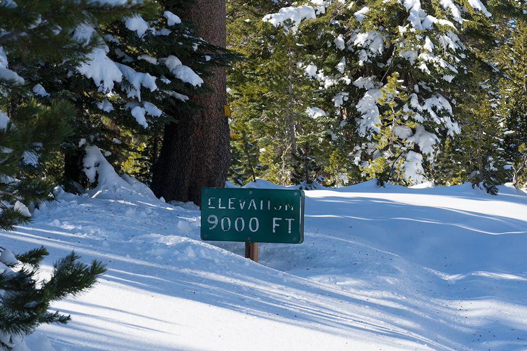 Snowshoeing in Mammoth WHAT IS HAPPY