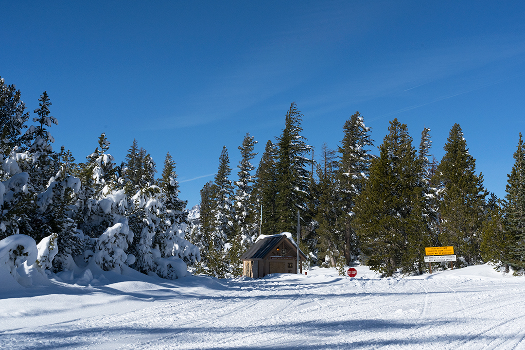 Snowshoeing in Mammoth WHAT IS HAPPY